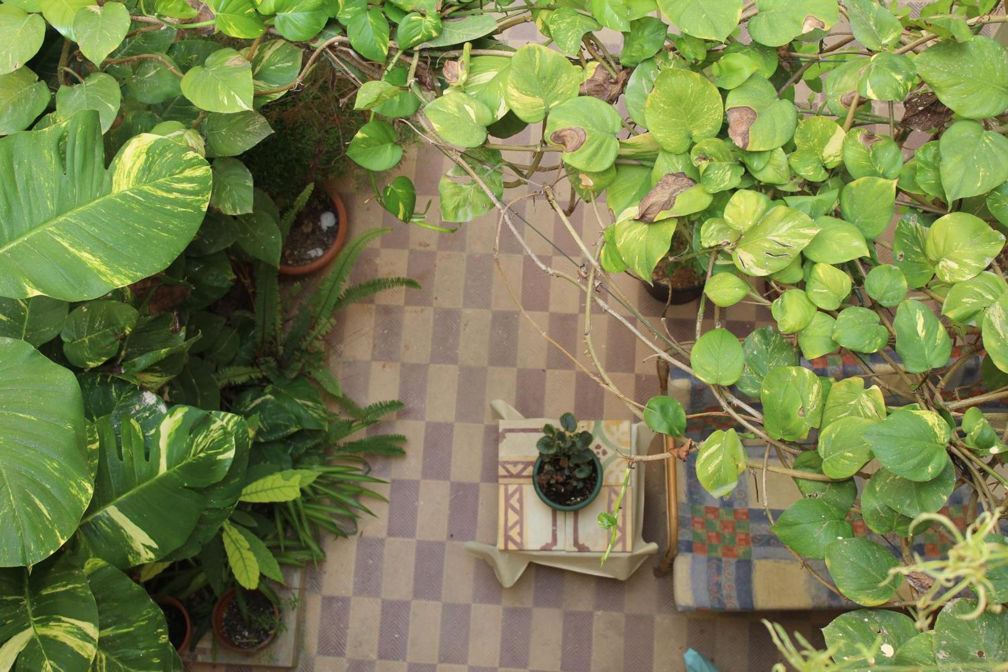 Maria Townhouse Heart Of Victoria B&B ภายนอก รูปภาพ